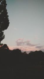 Silhouette trees on field against sky at sunset