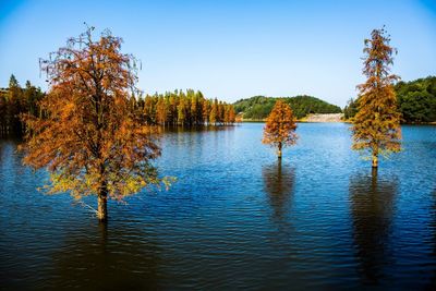 Scenic view of lake against clear sky