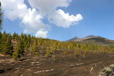 Panoramic view of landscape against sky