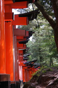 Built structure against trees