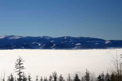 Scenic view of snowcapped mountains against clear blue sky