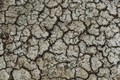 Full frame shot of cracked land