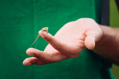 Close-up of hand holding leaf against blurred background
