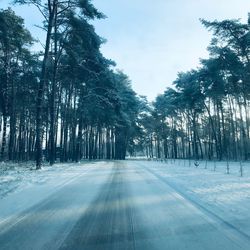 Road amidst trees against sky during winter