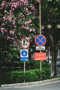 Information sign on tree