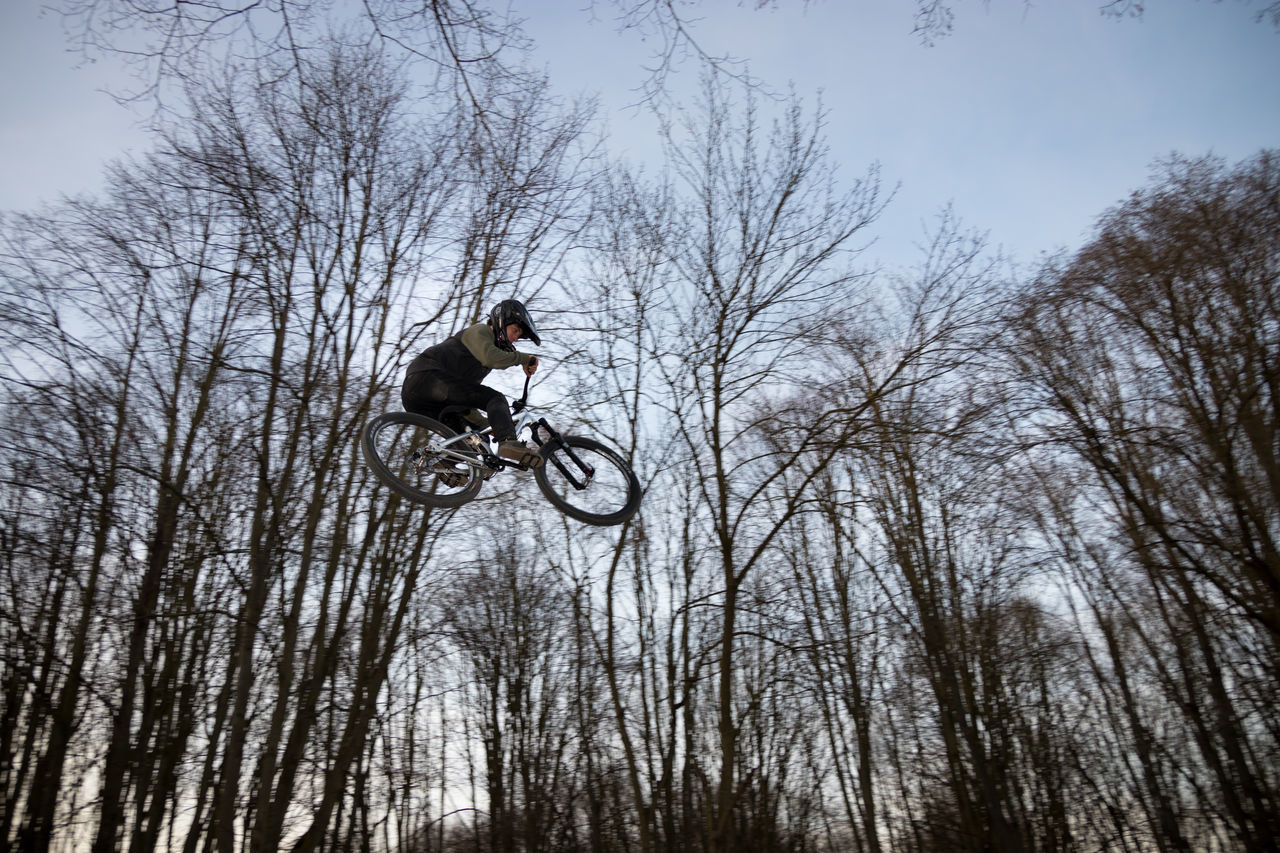 LOW ANGLE VIEW OF MAN CYCLING ON BARE TREES