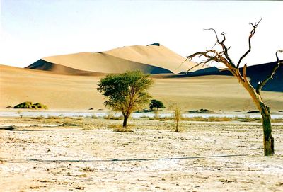 View of desert against clear sky