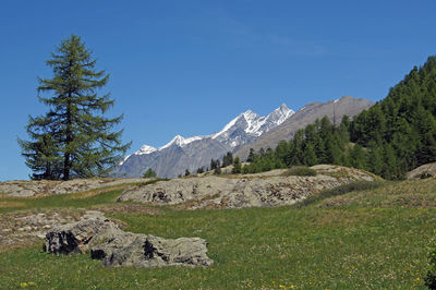 Scenic view of landscape and mountains against clear sky