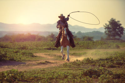 View of a horse on field