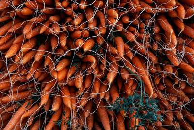 Full frame shot of stacked carrots for sale