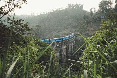 Train on bridge amid lush plants in mountains
