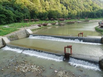 Scenic view of river flowing by trees