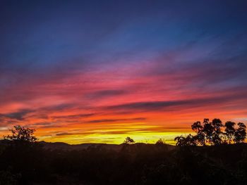 Scenic view of silhouette trees against sky during sunset