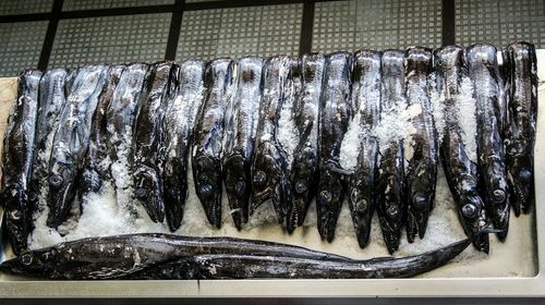 High angle view of fish with ice arranged in container at market for sale