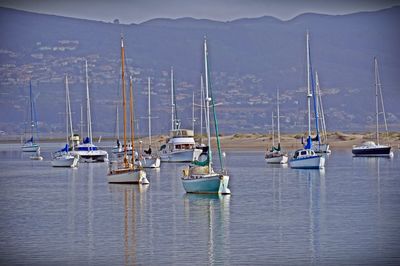 Sailboats moored on lake against sky