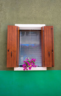 Multi colored umbrella on wooden wall