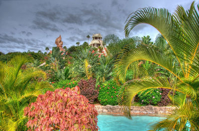 Palm trees by swimming pool against sky