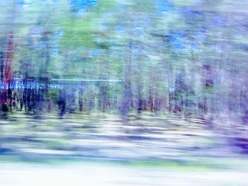 Defocused image of trees