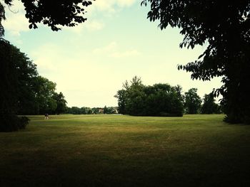 Scenic view of grassy field against sky