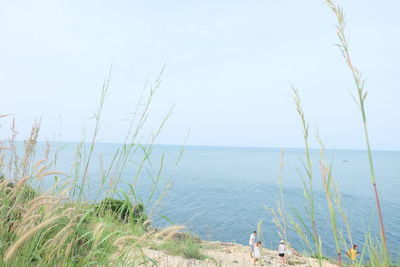 Scenic view of sea against clear sky