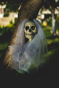 Close-up of human skull and veil on field at night