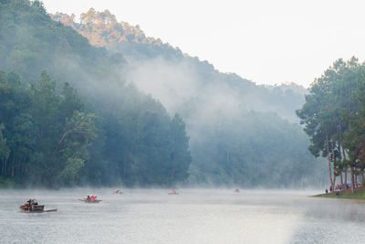 Panoramic view of people on mountain by trees