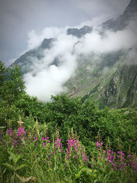 Scenic view of land and mountains against sky