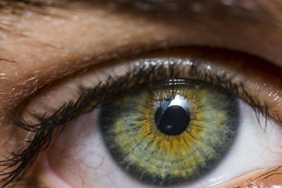 Close-up portrait of human eye