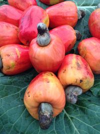 Close-up of vegetables