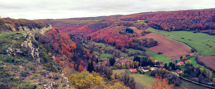 High angle view of trees on landscape during autumn