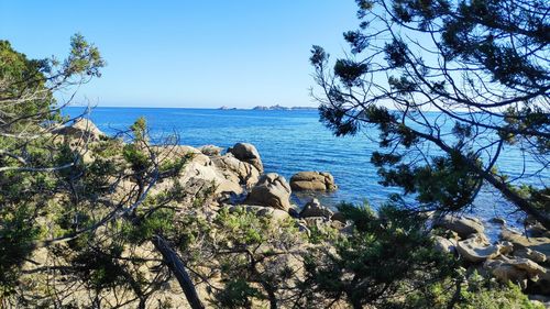 Scenic view of sea against blue sky