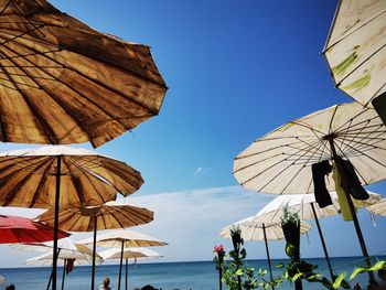 Low angle view of umbrellas on beach against sky