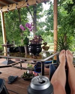 Low section of woman by potted plants on table