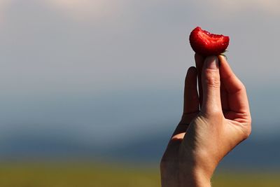 Close-up of hand holding strawberry against sky