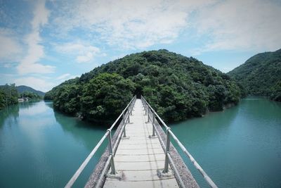 Scenic view of river amidst trees against sky