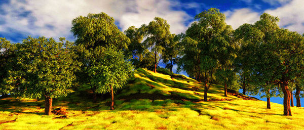 Trees on field against sky