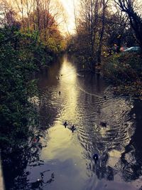 Close-up of wet tree against water