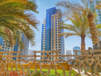 Palm trees by swimming pool in city against sky