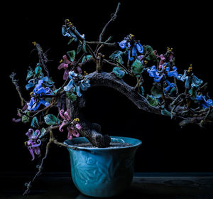 Close-up of purple flowers blooming at night