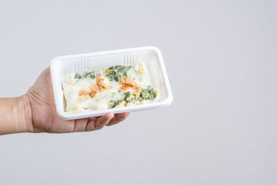 Midsection of person holding food against white background