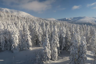 Panoramic view of snow covered landscape against sky