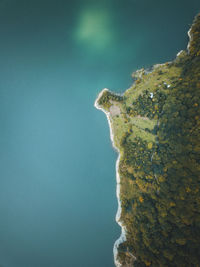 Close-up of rock by sea against clear sky