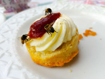 High angle view of cake in plate