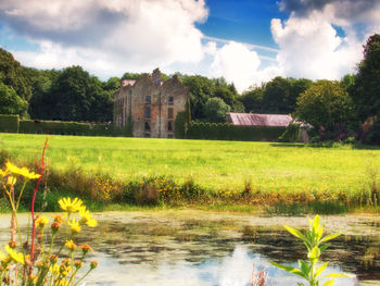 Scenic view of field against sky