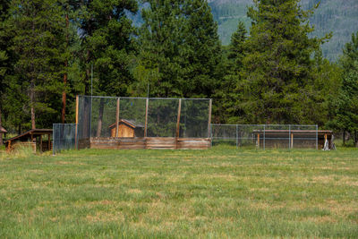 Built structure on field against trees in forest
