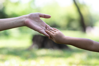 Close-up of hands