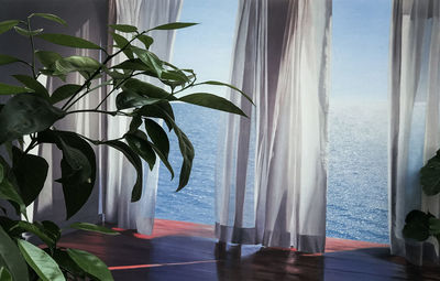 Close-up of plant by sea against sky seen through window