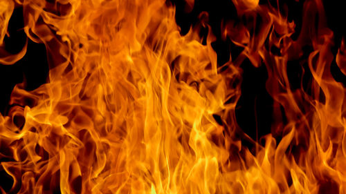 Close-up of fire crackers against black background