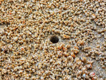 Full frame shot of sand