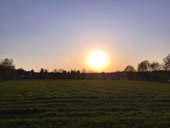 Scenic view of grassy field at sunset